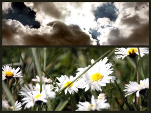 Heaven and earth